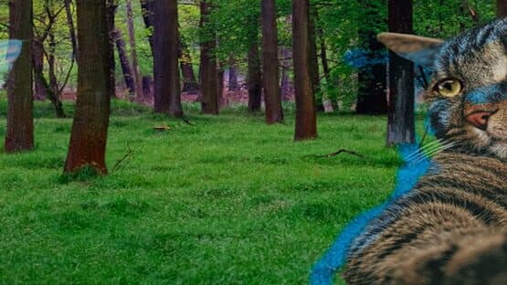 Suddenly Meow 2 artwork 1