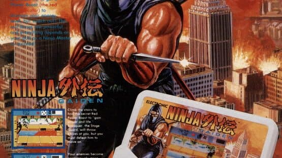 Ninja Gaiden artwork 2
