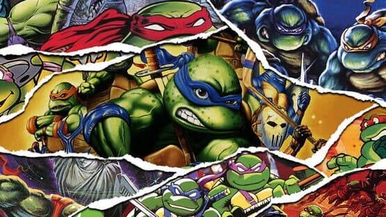 Teenage Mutant Ninja Turtles: The Cowabunga Collection artwork 1