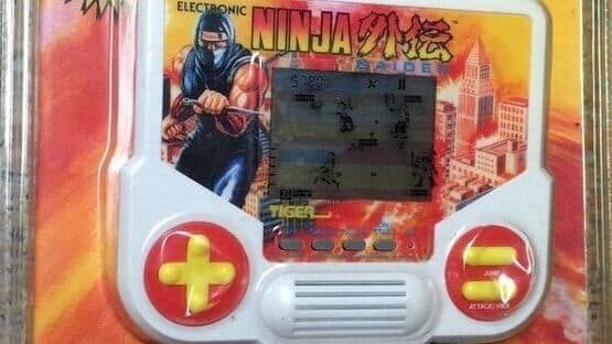 Ninja Gaiden artwork 1