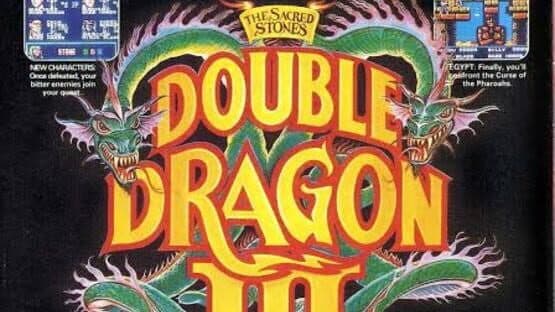 Double Dragon III: The Sacred Stones artwork 3
