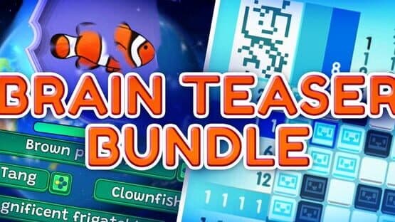 Brain Teaser Bundle artwork 1