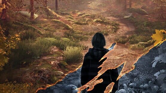 The Vanishing of Ethan Carter VR artwork 1