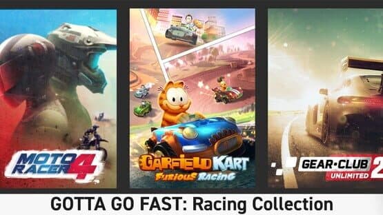 Gotta Go Fast: Racing Collection artwork 1
