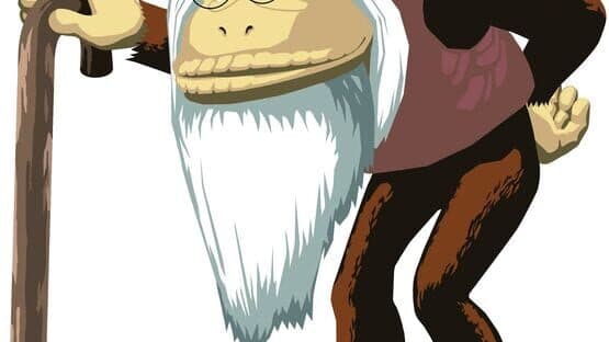 Donkey Konga artwork 3