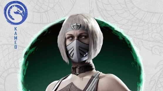 Mortal Kombat 1: Khameleon Kameo artwork 2