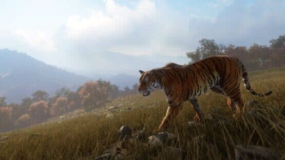 TheHunter: Call of the Wild - Sundarpatan Nepal Hunting Reserve artwork 1