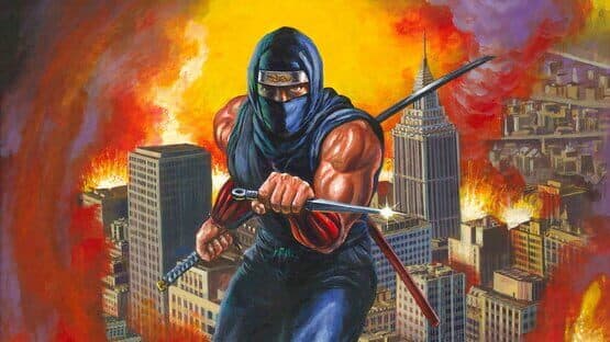 Ninja Gaiden artwork 3