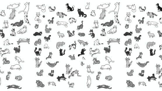 HiPurrLand artwork 1