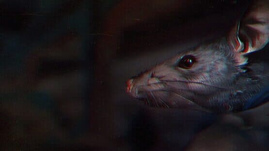 We're Closed Sorry artwork 1