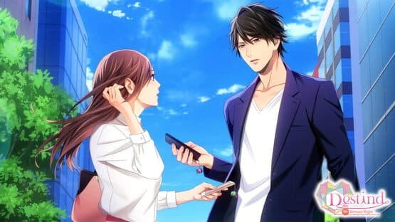 Destind: Mr. Almost Right artwork 1