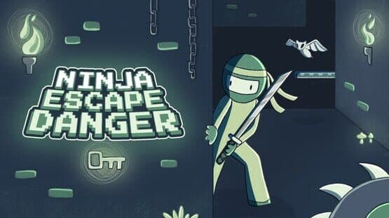 Ninja Escape Danger artwork 1