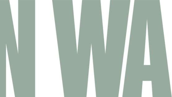 Alan Wake II artwork 2