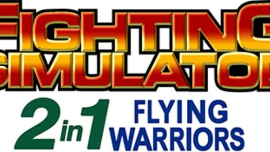 Fighting Simulator: 2 in 1 Flying Warriors artwork 1