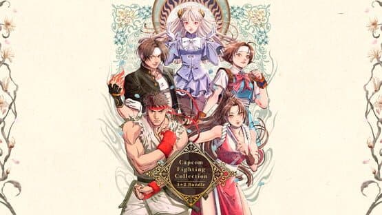 Capcom Fighting Collection 1 & 2 Bundle artwork 1
