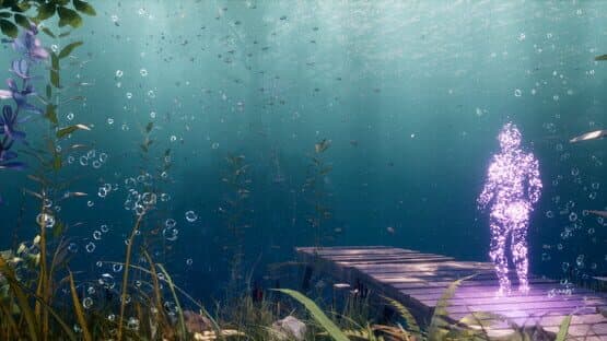 Echoes of Mora artwork 1