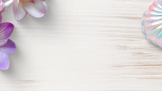 Jixo 2: Summer Dreams - Collector's Edition artwork 1