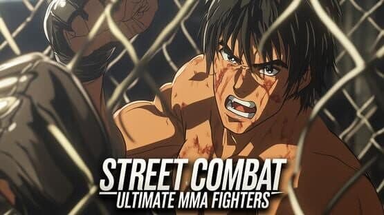 Street Combat: Ultimate MMA Fighters artwork 1