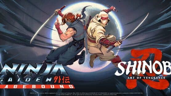 Path of the Ninja Bundle artwork 2