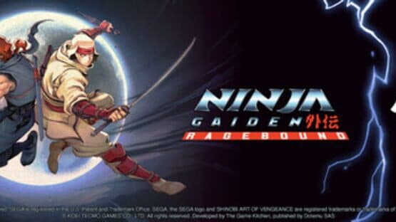 Path of the Ninja Bundle artwork 3