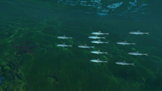 Dockside Dreams: Fish & Cook Simulator artwork 1