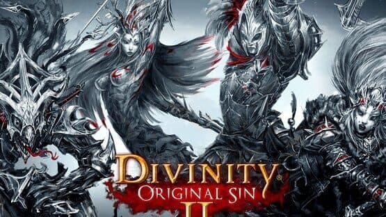 Divinity: Original Sin II artwork 5