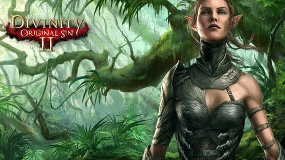 Divinity: Original Sin II artwork 8