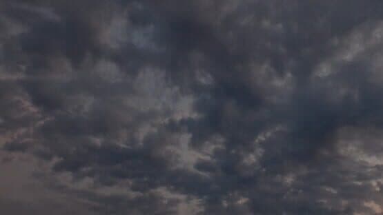 Grass Life Sim 2 artwork 1