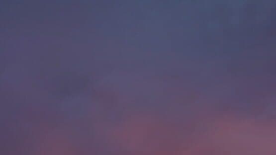 Palm Simulator 2 artwork 1