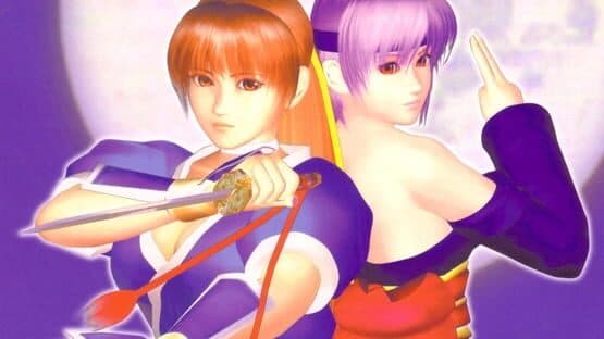 Dead or Alive 2: Limited Edition artwork 1