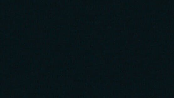 Fish & Bubbles artwork 1