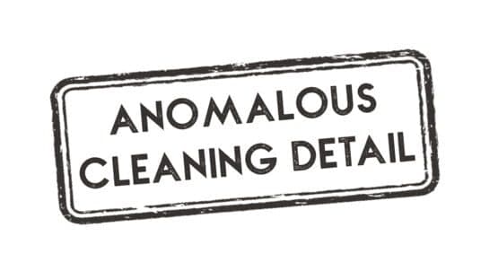 Anomalous Cleaning Detail artwork 2