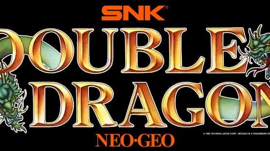 Double Dragon artwork 5