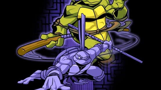 Teenage Mutant Ninja Turtles 2: Battle Nexus artwork 2