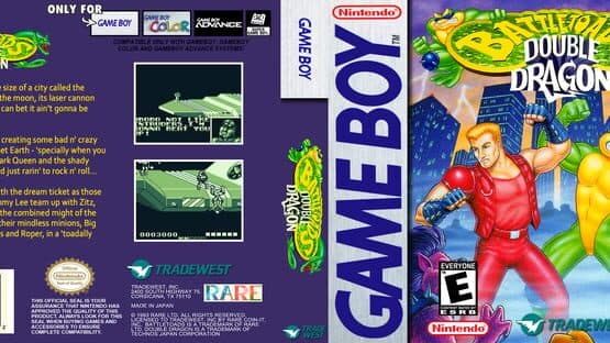 Battletoads / Double Dragon artwork 2