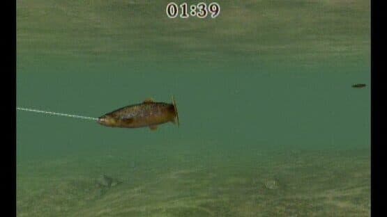 Reel Fishing Challenge screenshot 5
