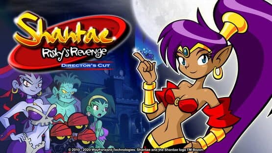 Shantae: Risky's Revenge - Director's Cut artwork 1