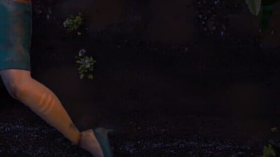 The Forest artwork 1