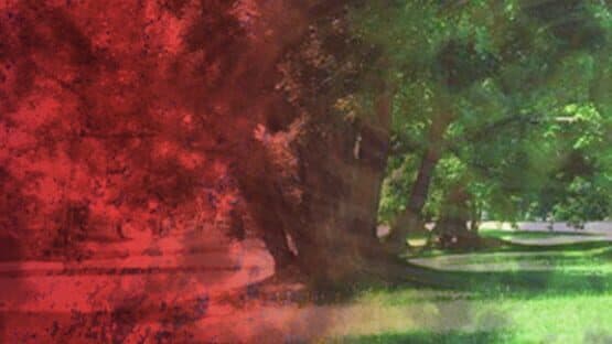 Touhou Shinreibyou: Ten Desires artwork 1