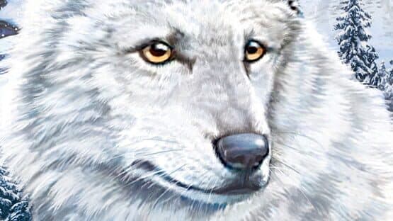 Nancy Drew: The White Wolf of Icicle Creek artwork 1