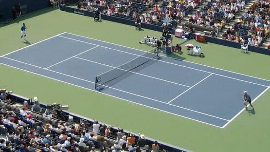 Tennis Elbow Manager artwork 1