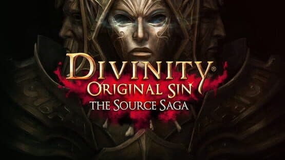 Divinity: Original Sin - The Source Saga artwork 1