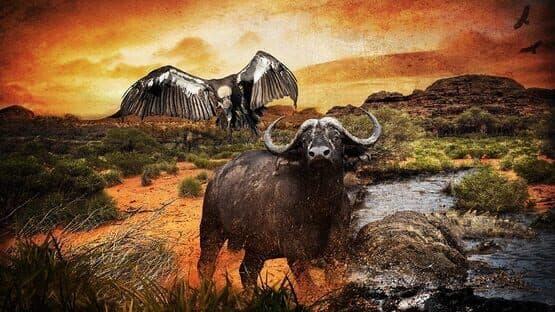 Hunter's Trophy 2: Australia artwork 1