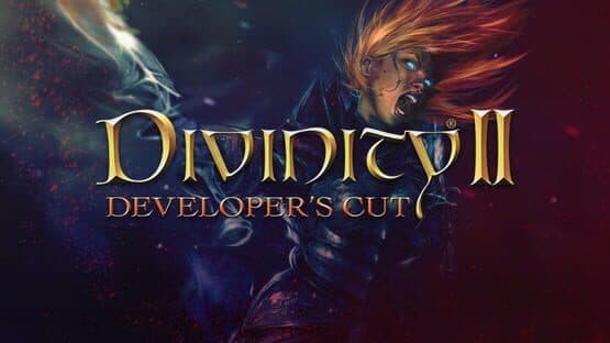 Divinity II: Developer's Cut artwork 1