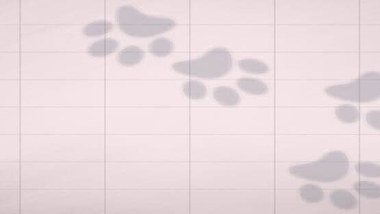 PuzzlePet: Feed Your Cat artwork 1