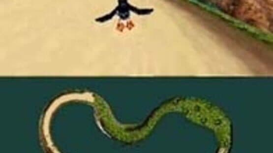 Puffins: Let's Race! screenshot 1