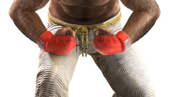 Virtua Fighter 5 artwork 4