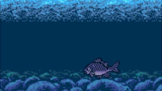 Legend of the River King 2 screenshot 1