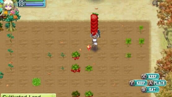 Rune Factory 4 screenshot 11