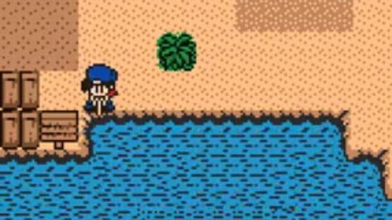 Harvest Moon 2 GBC screenshot 2